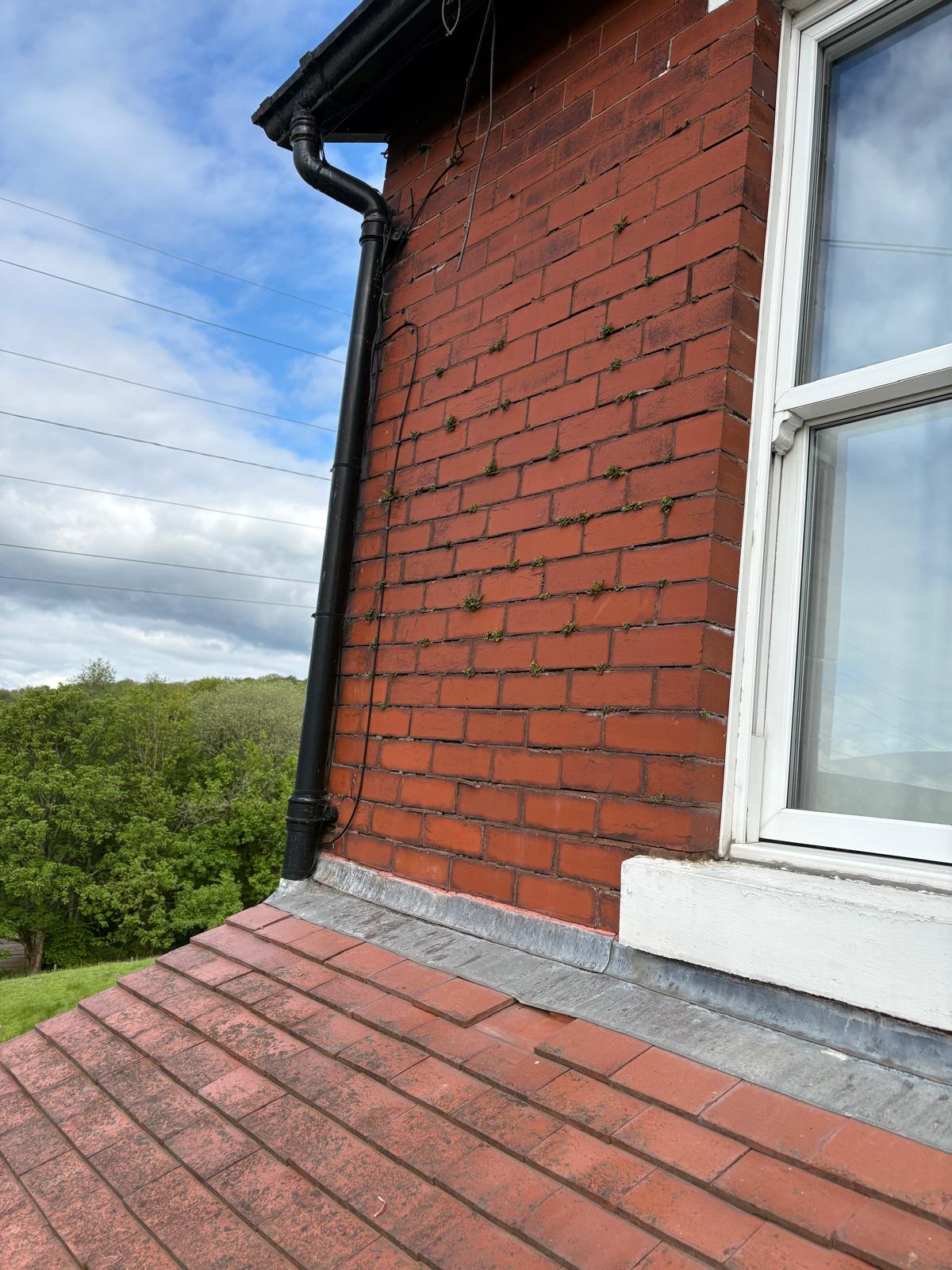 Side brickwork before cleaning