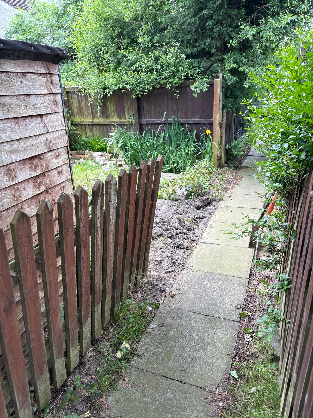 Old fencing before replacement along garden path